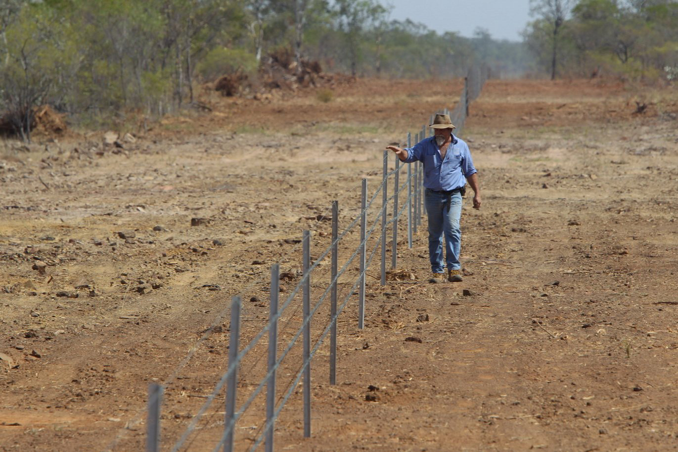 Image showcasing Wildlife Preservation: Helping Small Animals in a Big Way